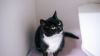 Abby photo 3