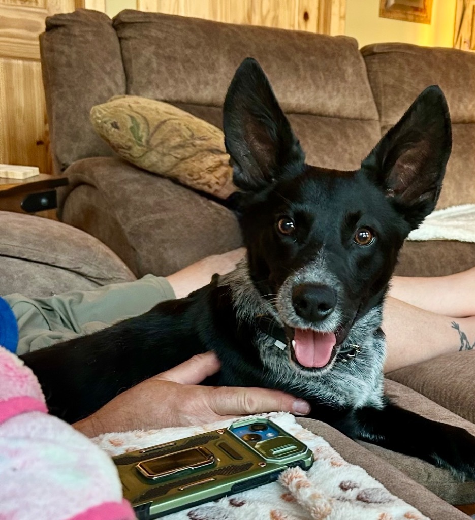 Luca