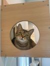 Tizzy photo 3