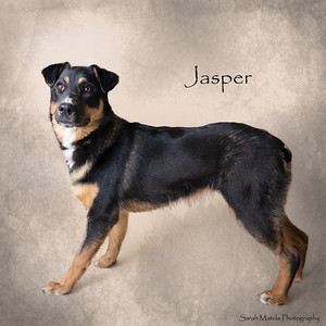 Jasper