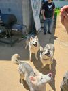 Maya photo 2