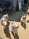 Maya photo 3
