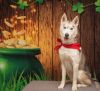 Maya photo 5