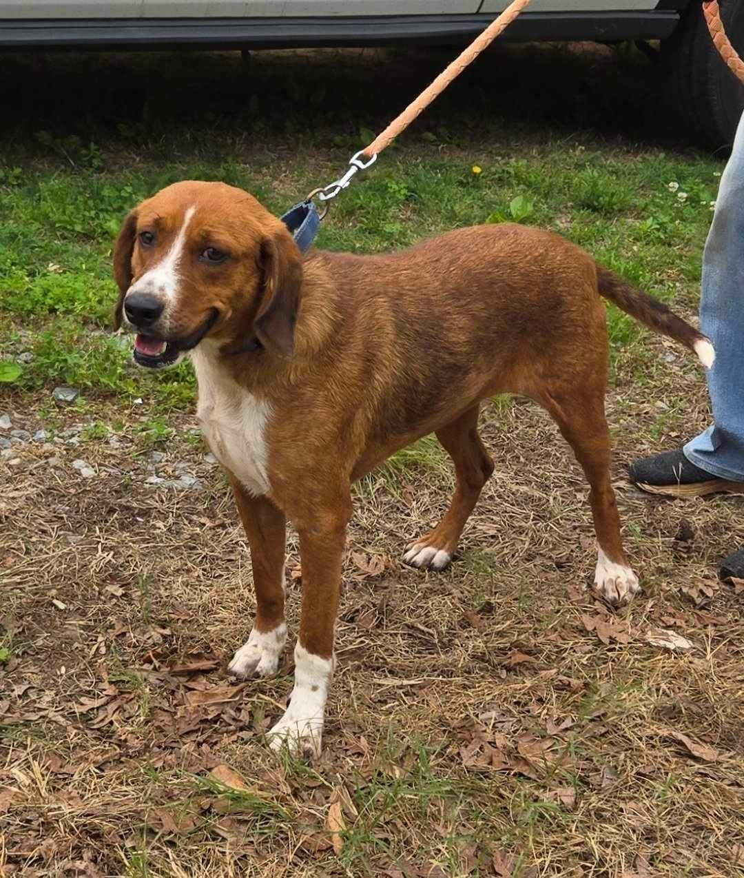 Brie: At shelter