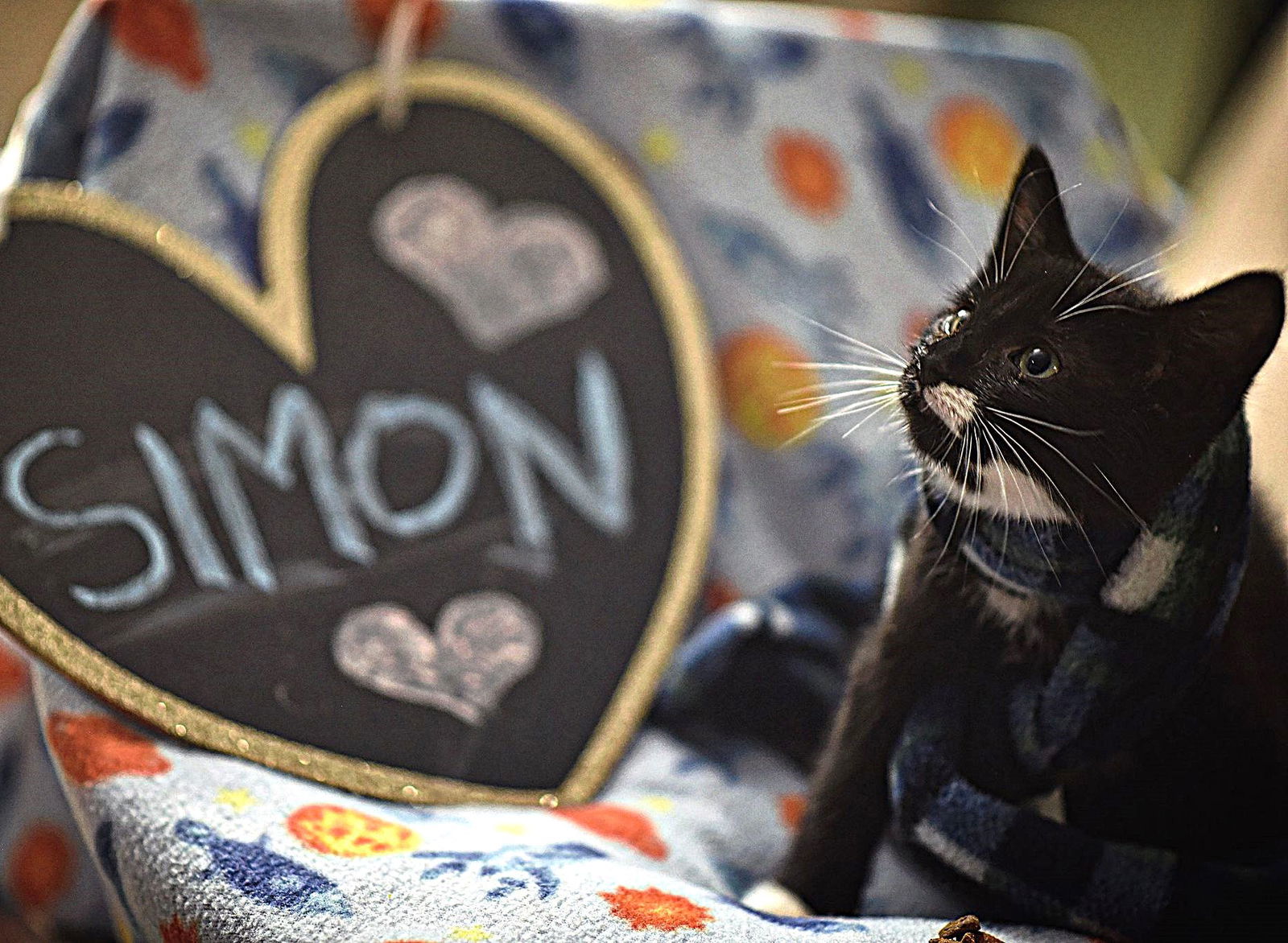 Simon
