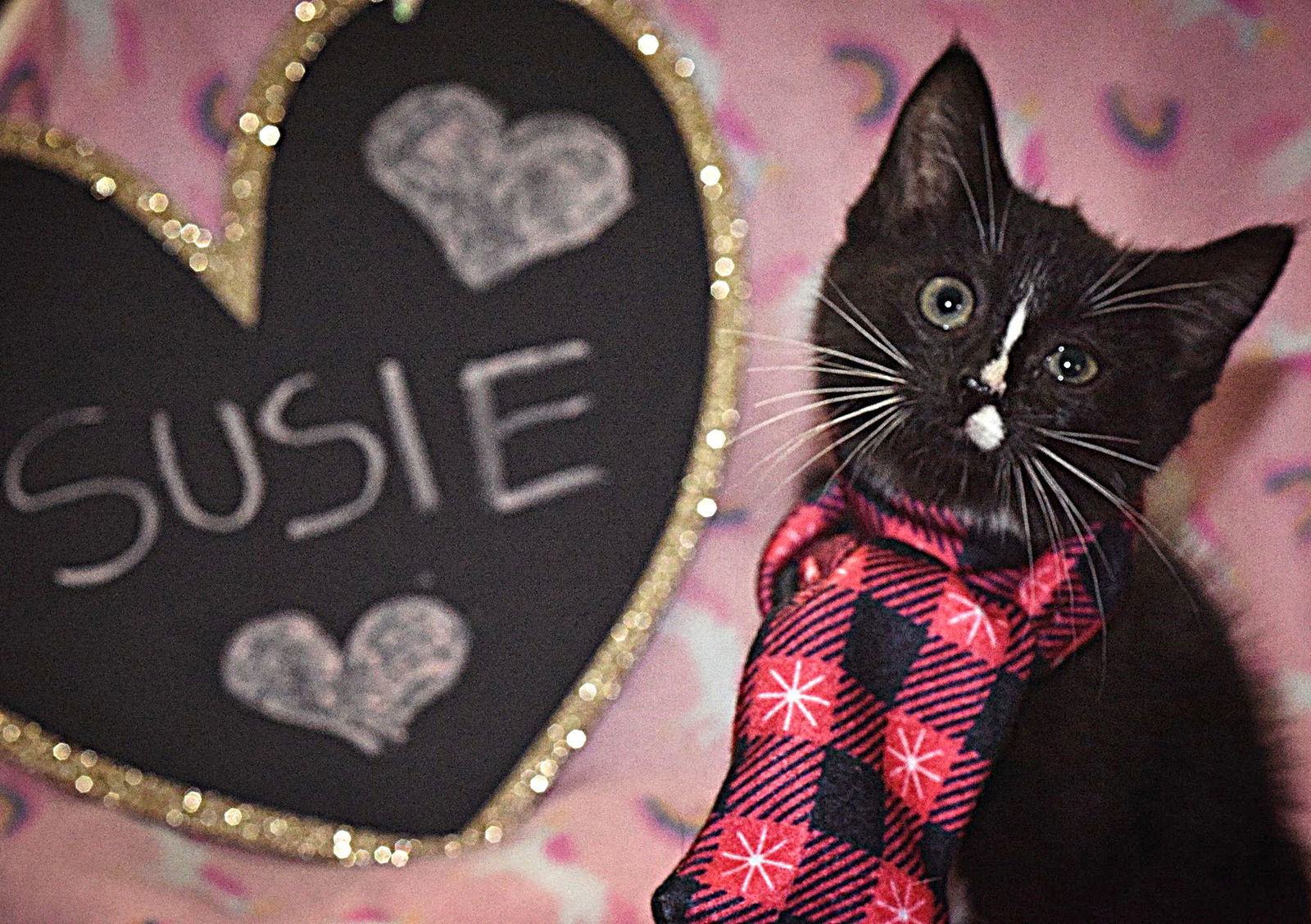Susie