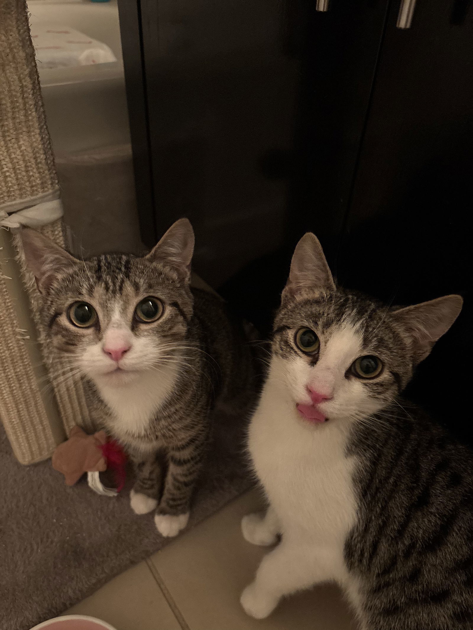 Jack and Ollie