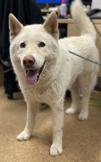 Max