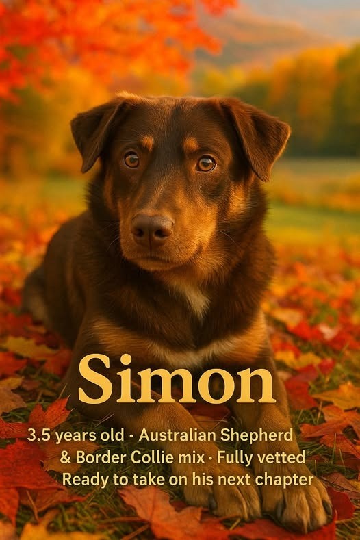 Simon