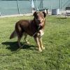 Simon photo 2