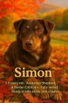 Simon photo 4