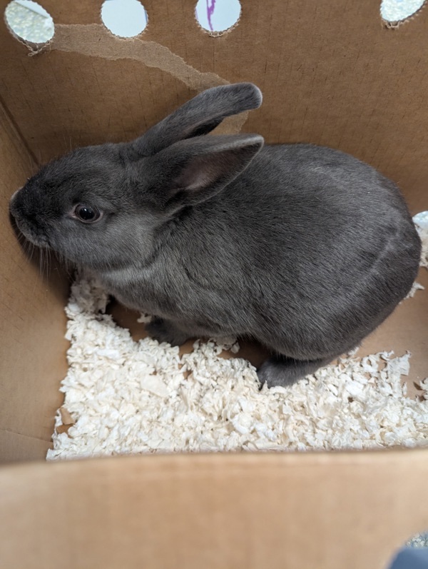 Nimbus