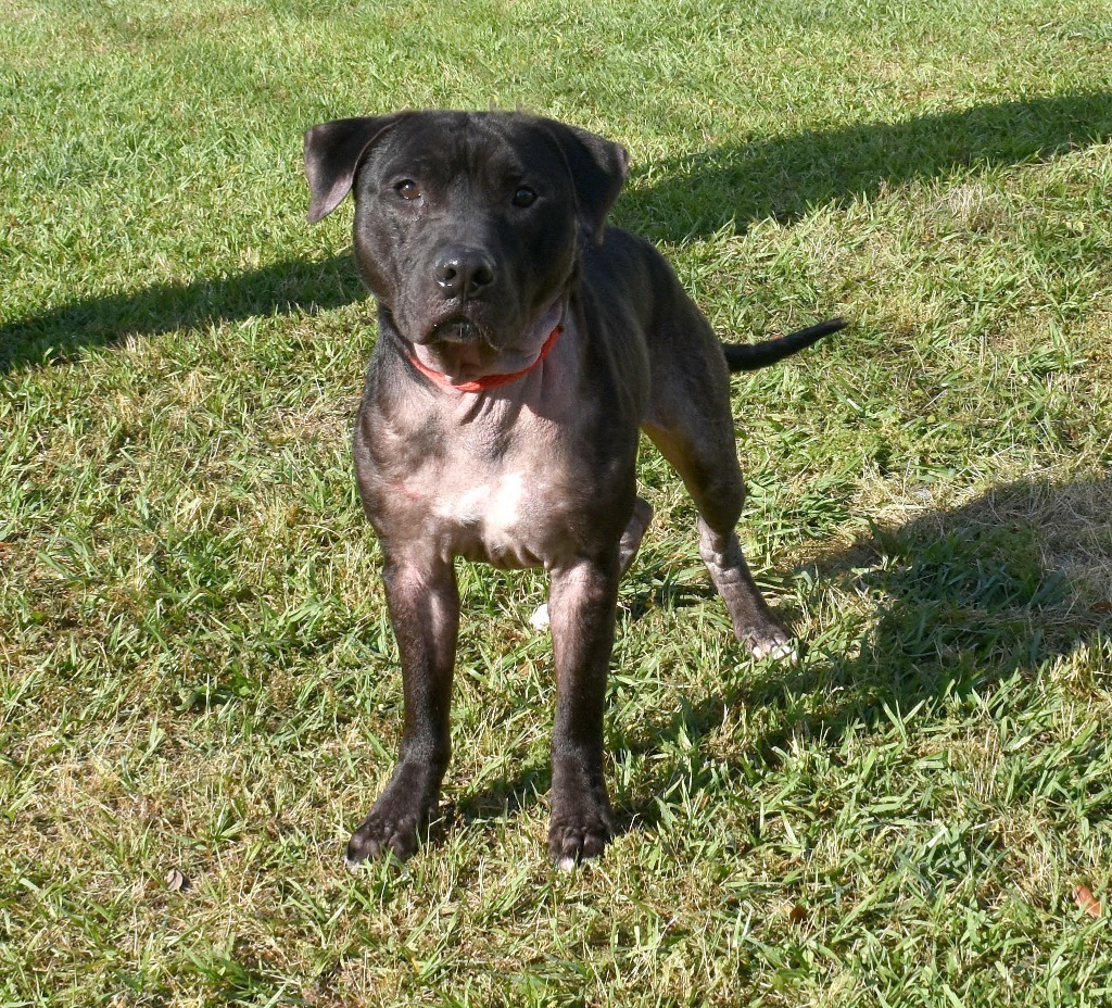 Charlie