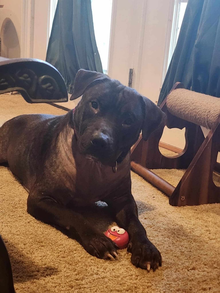 Charlie