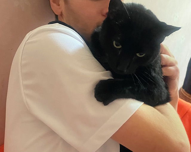 Licorice