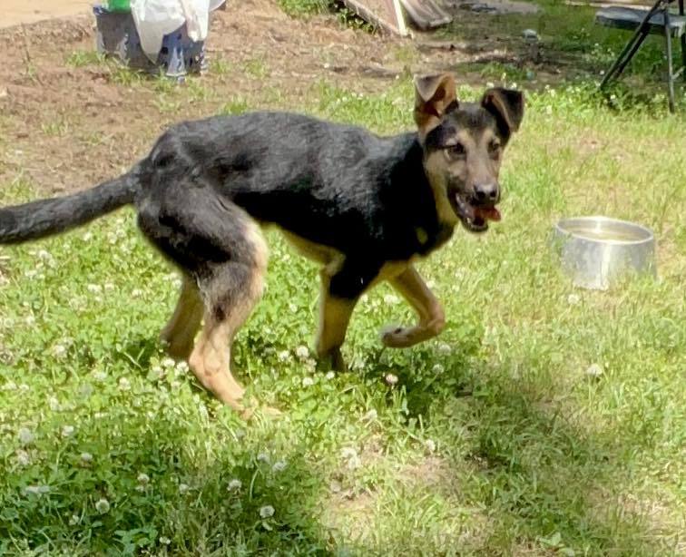 Zeus