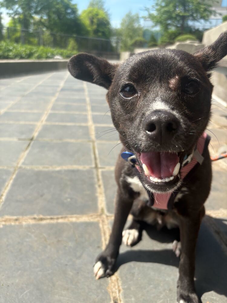 Lenny