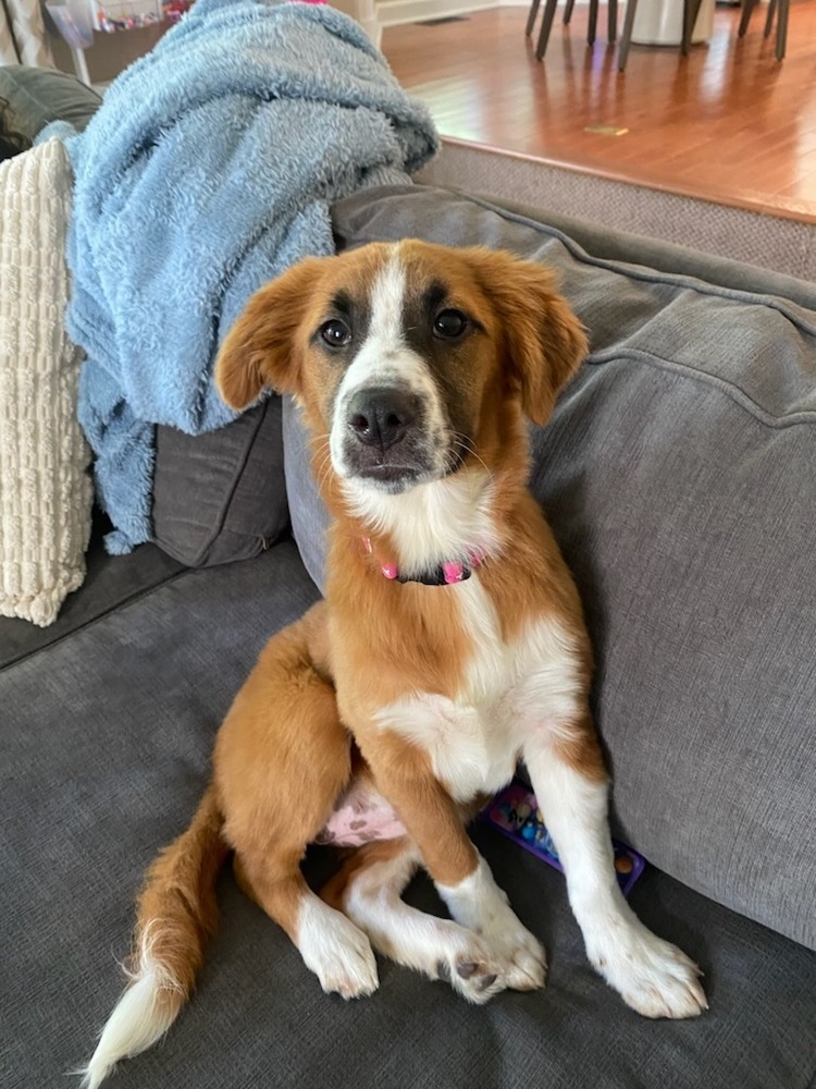 Baby Ruby
