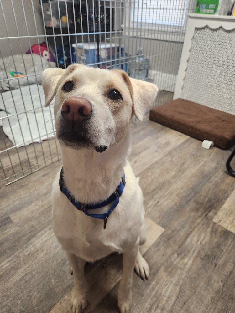 Ralph - 25042