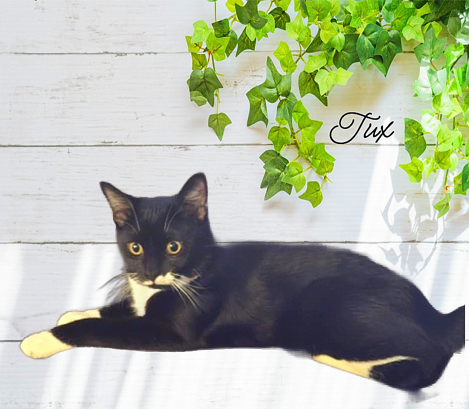 Tux
