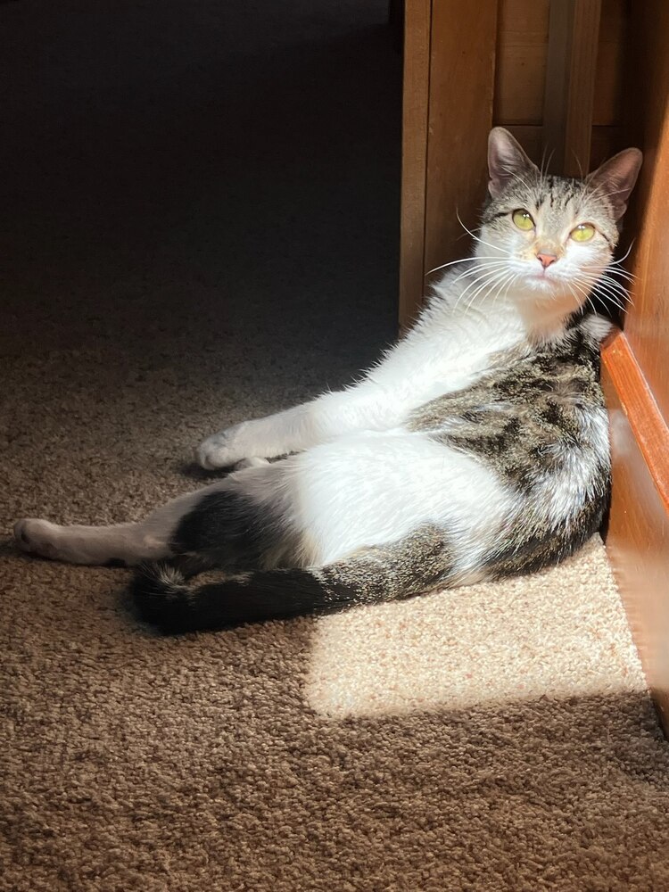 Sophia