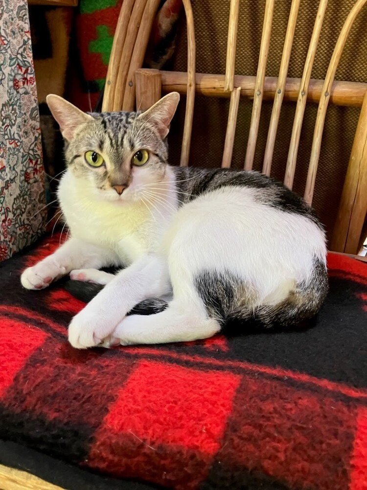 Sophia