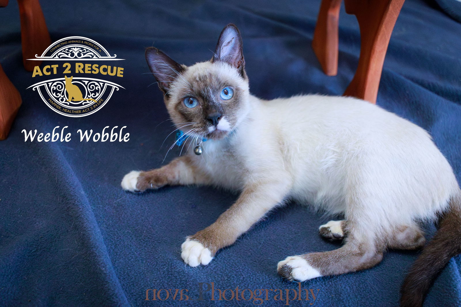 Snoop Dawg (Weeble Wobble)