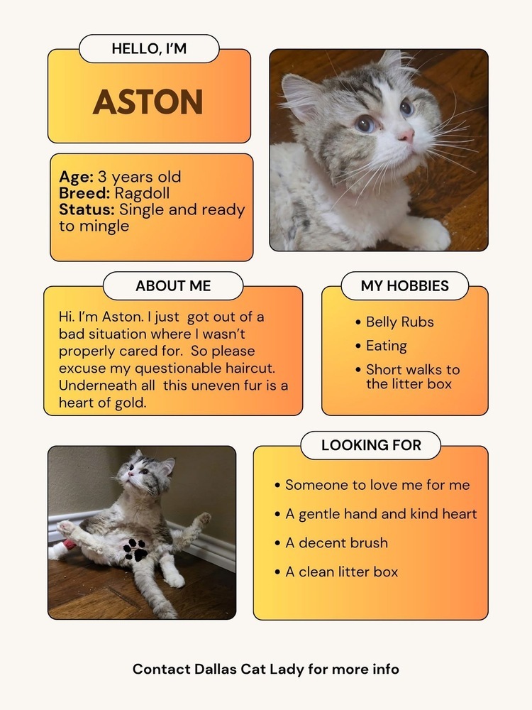Aston 7386