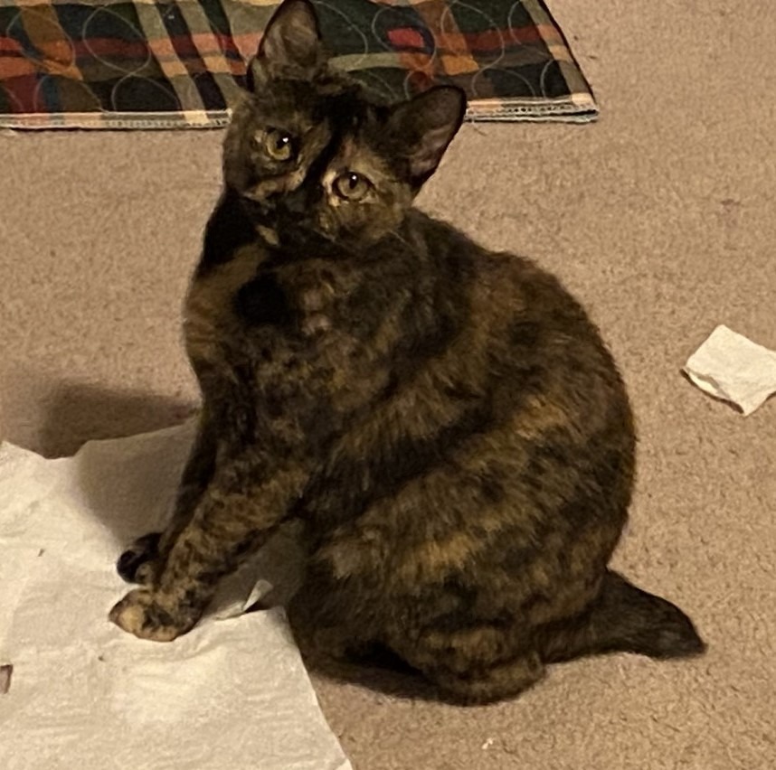 Ella