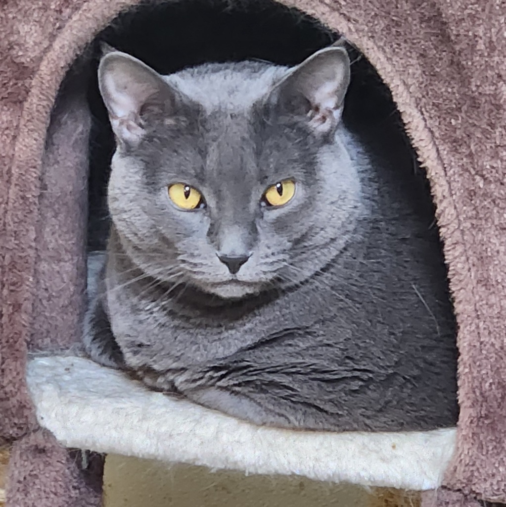 Luna