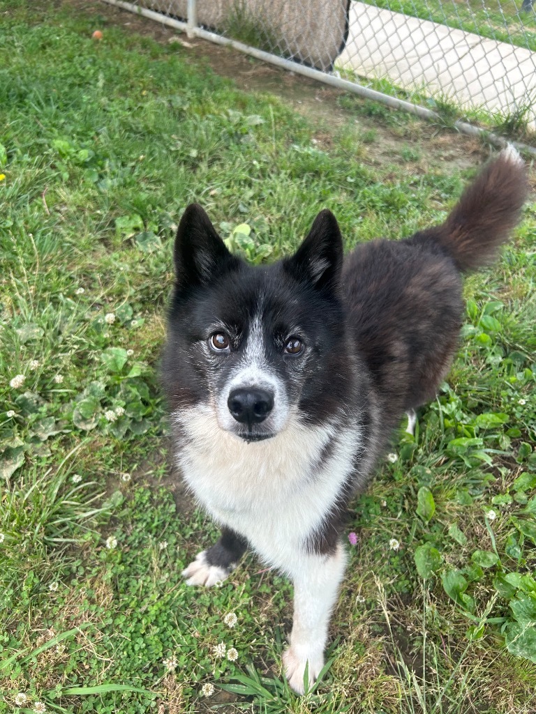 Sammy