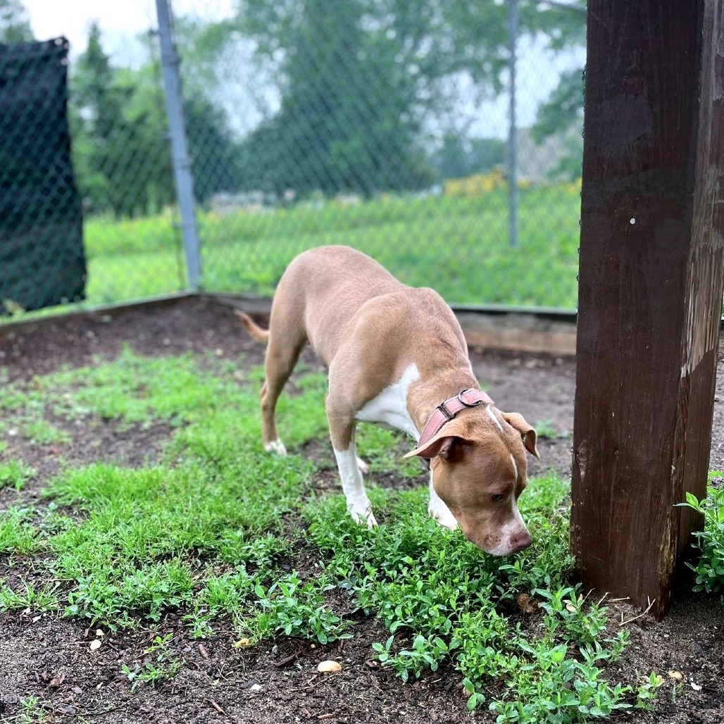 Marcy (In Foster)