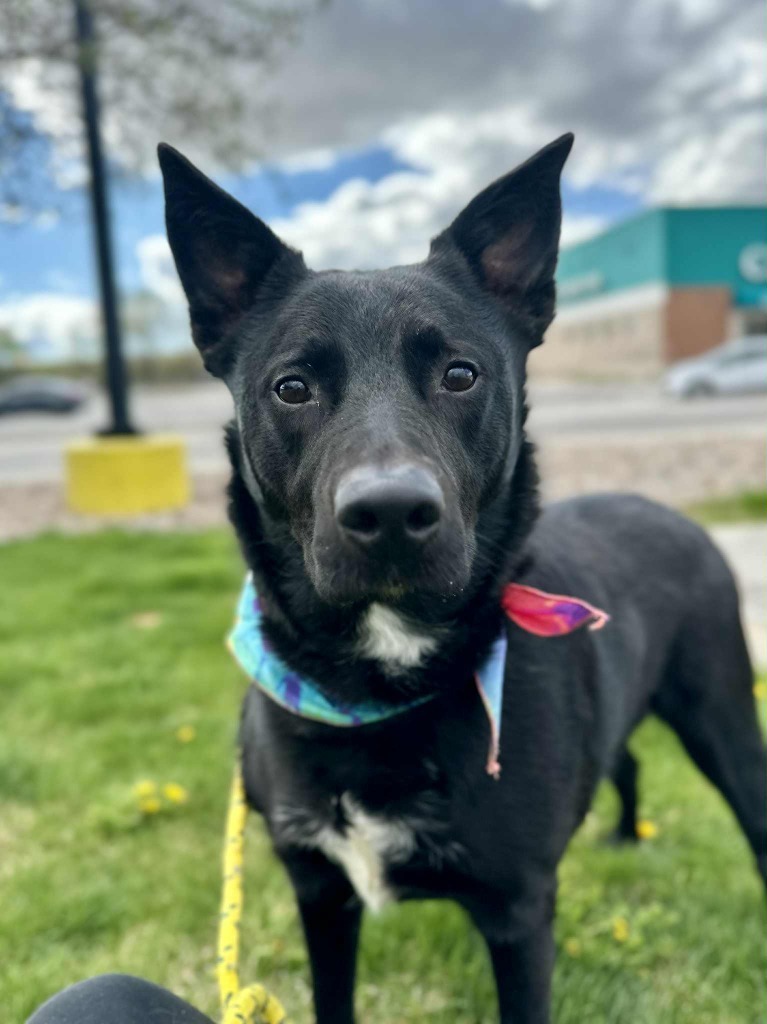 Juneau