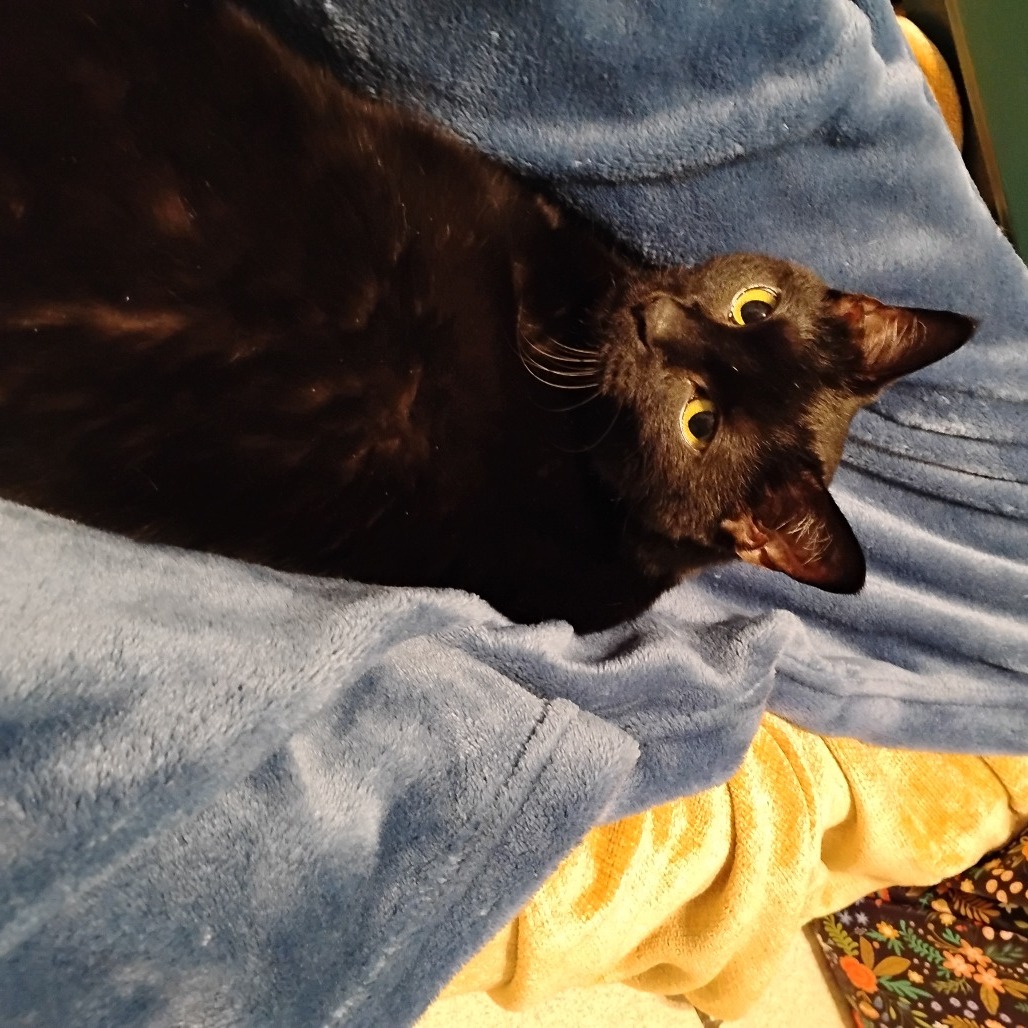 Meeka
