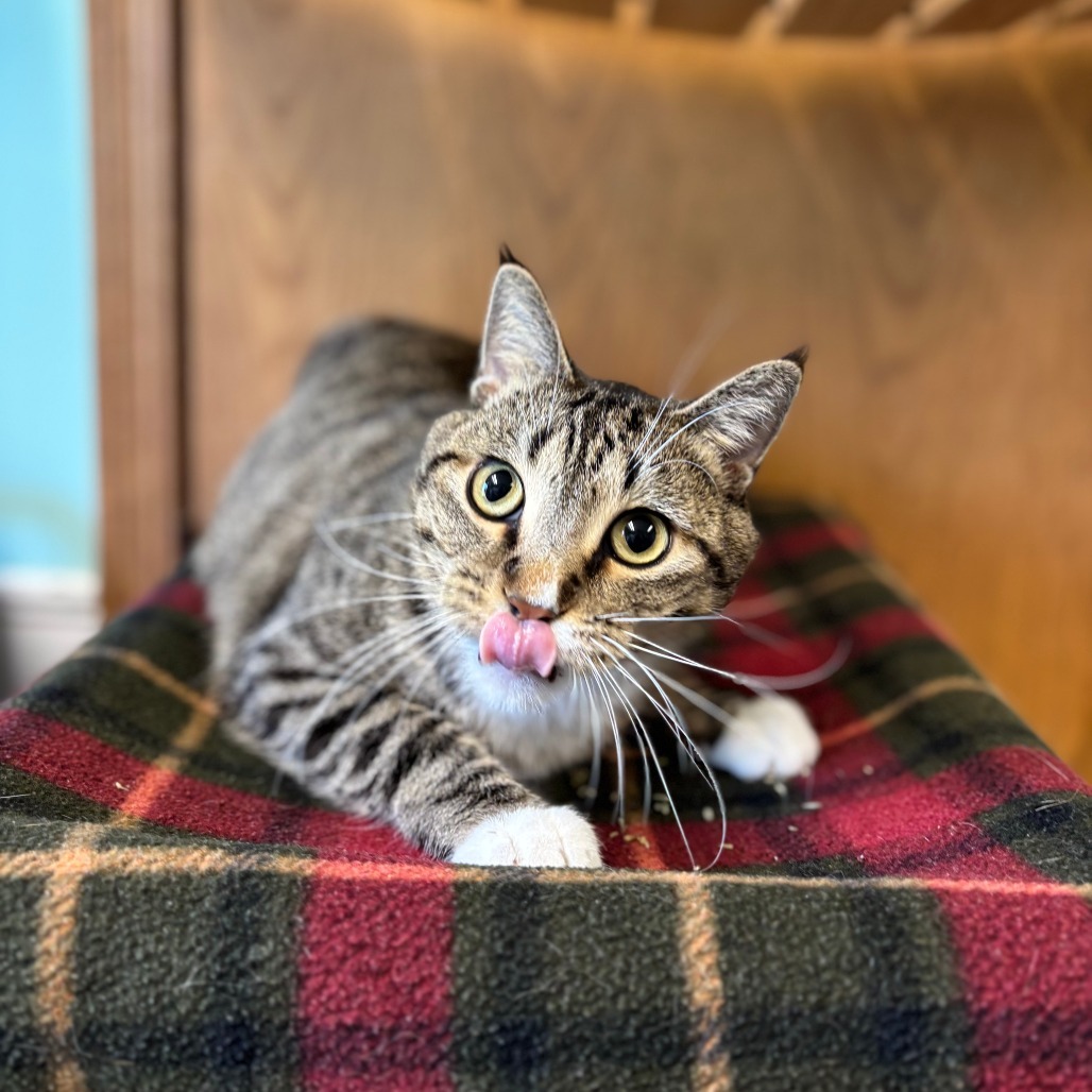 Bamboo--In Foster