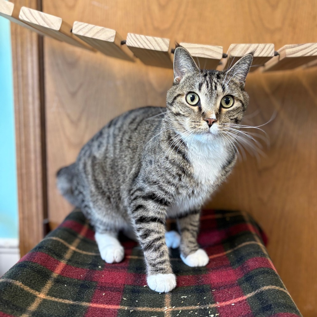 Bamboo--In Foster