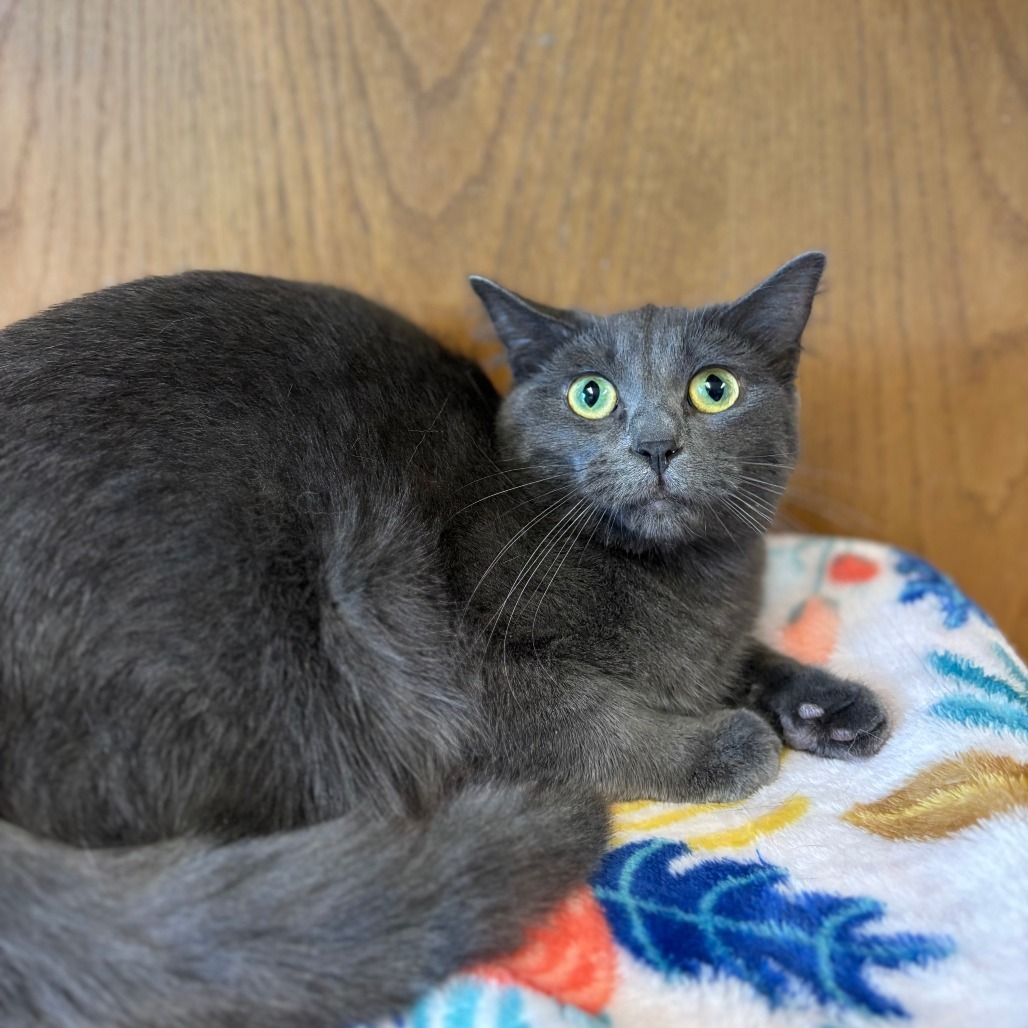 Lynn--In Foster