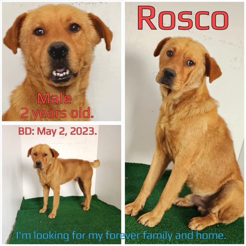 Rosco