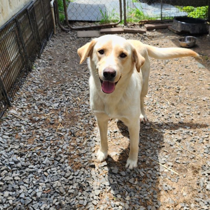 Sadie 1