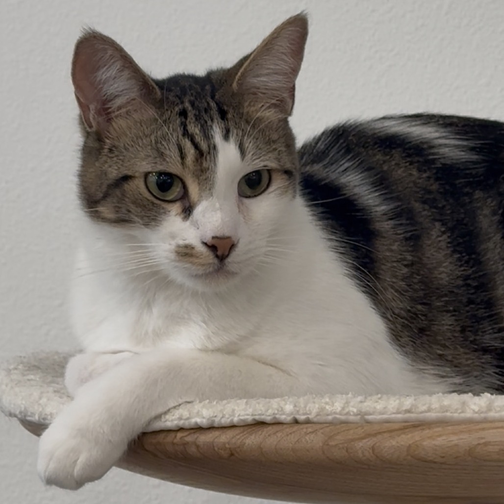 Sebastian