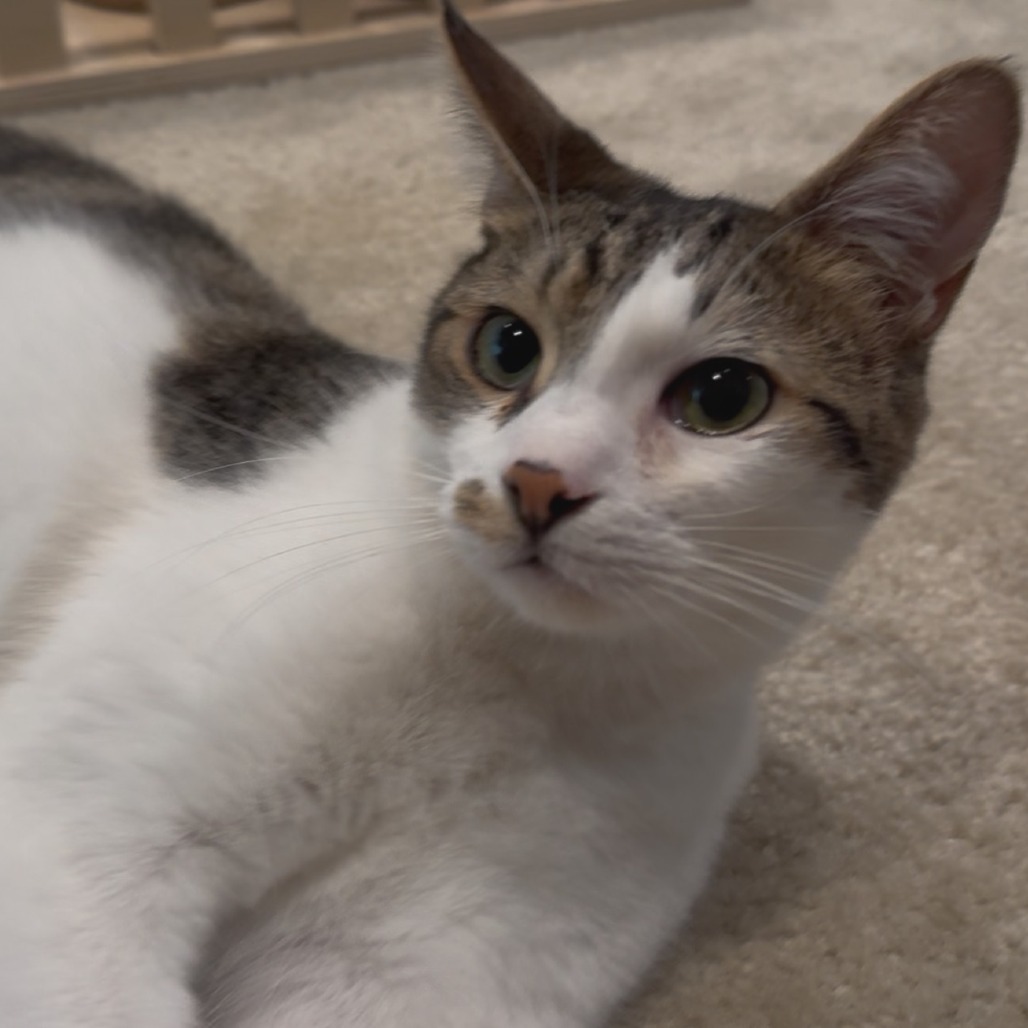 Sebastian