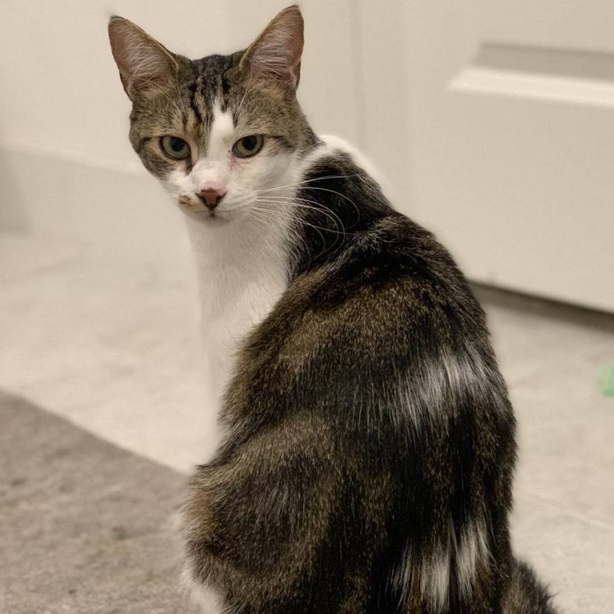 Sebastian
