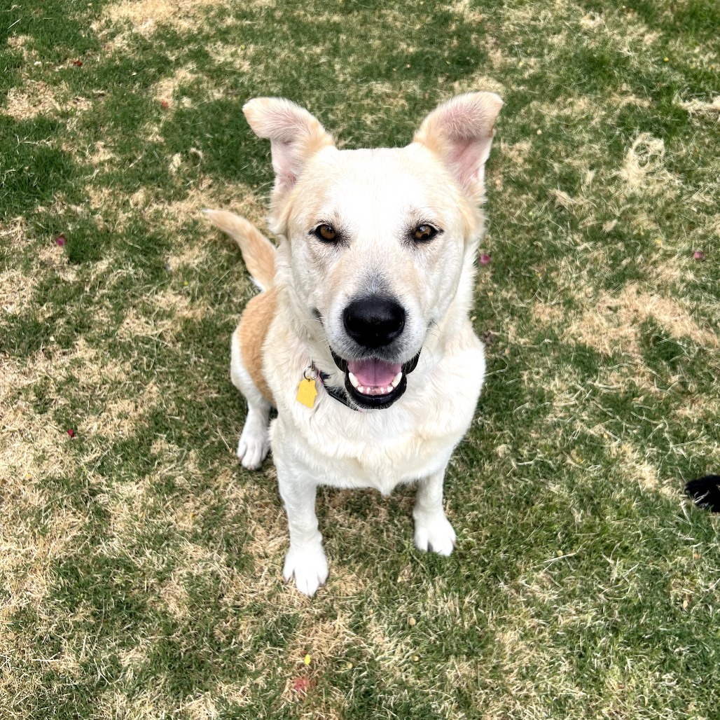 Marleigh aka Penelope
