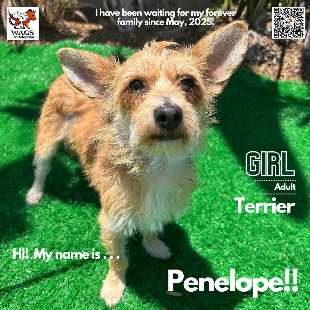 Penelope