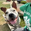 Buddy photo 5