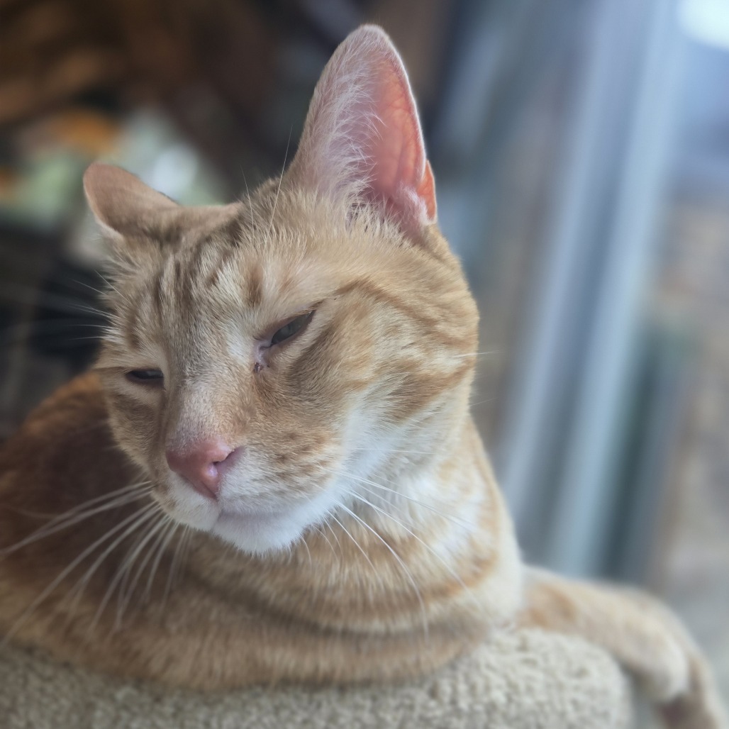 Franklin