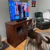 Reggie photo 7