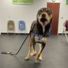 Reggie photo 8
