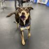 Reggie photo 9