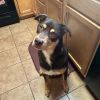 Reggie photo 10